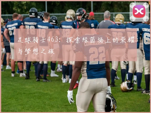 足球骑士463：探索绿茵场上的荣耀与梦想之旅