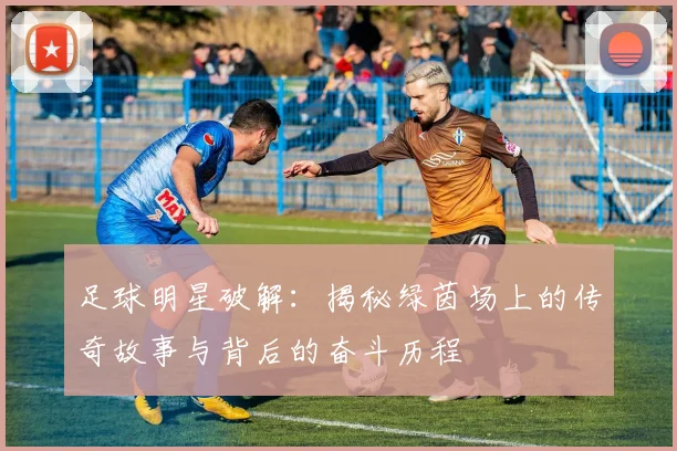 足球明星破解：揭秘绿茵场上的传奇故事与背后的奋斗历程